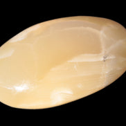 Honey Calcite palm stone 58-62mm 83-95g Rocks and Things