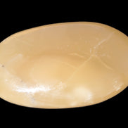 Honey Calcite palm stone 58-62mm 83-95g Rocks and Things