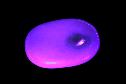 White Jade palm stone from Pakistan 62-72mm 63-86.7g in UV light