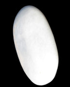 White Jade palm stone from Pakistan 62-72mm 63-86.7g in sunlight - Rocks and Things Store