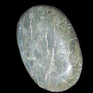 Black Jade from Pakistan palm stone 59-67mm 63-121g Rocks and Things