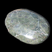 Black Jade from Pakistan palm stone 59-67mm 63-121g Rocks and Things