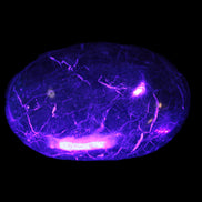 Black Jade from Pakistan palm stone 59-67mm 63-121g Rocks and Things