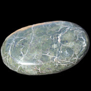 Black Jade from Pakistan palm stone 59-67mm 63-121g Rocks and Things