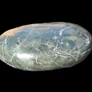 Black Jade from Pakistan palm stone 59-67mm 63-121g Rocks and Things