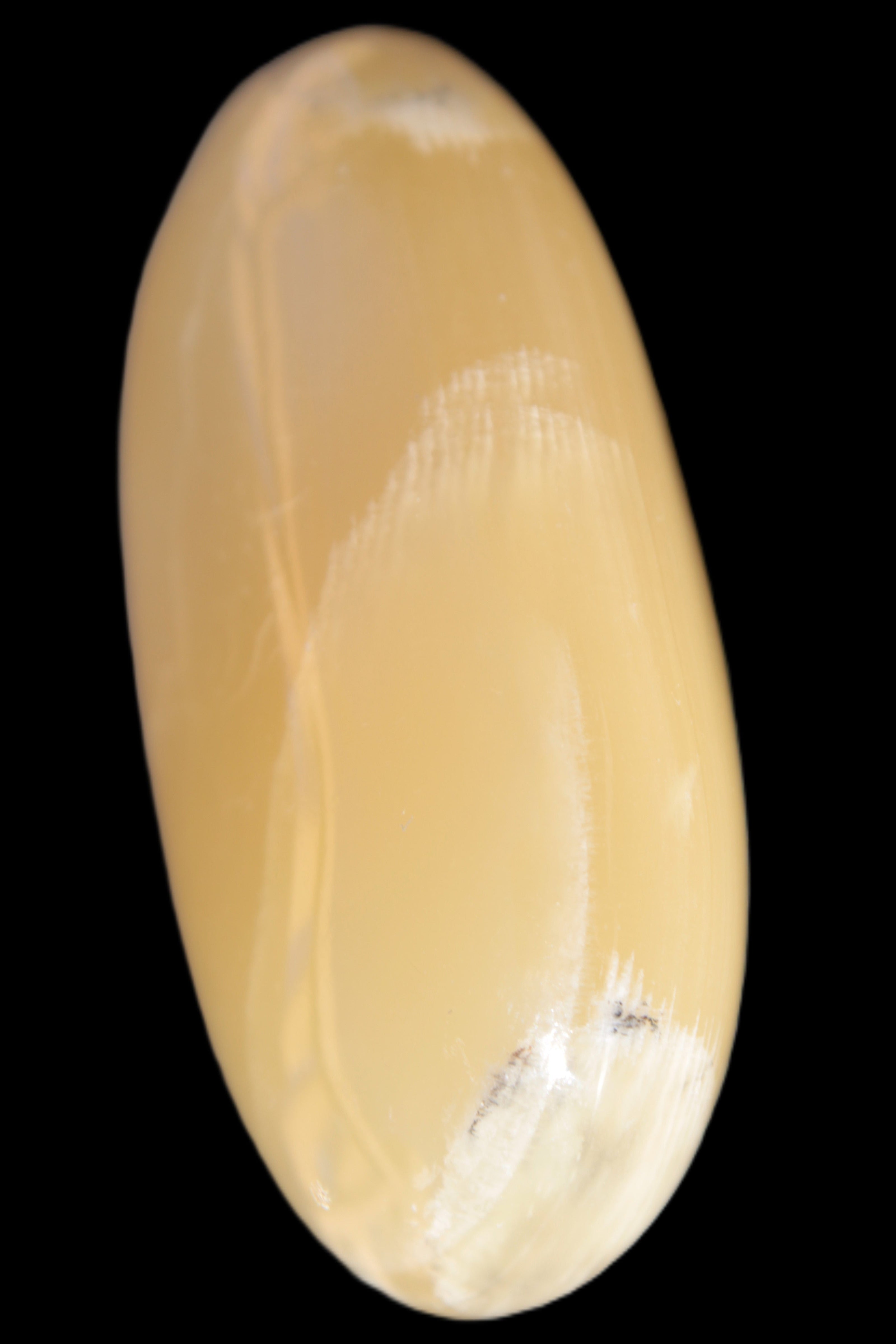Honey Calcite palm stone 58-62mm 83-95g in sunshine - Rocks and Things Store