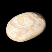 Chocolate Calcite palm stone 53mm 65.8g Rocks and Things