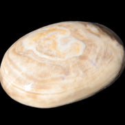 Chocolate Calcite palm stone 53mm 65.8g Rocks and Things