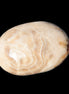 Chocolate Calcite palm stone 53mm 65.8g Rocks and Things