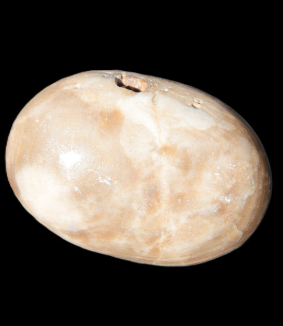 Chocolate Calcite palm stone 53mm 65.8g Rocks and Things