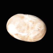 Chocolate Calcite palm stone 53mm 65.8g Rocks and Things