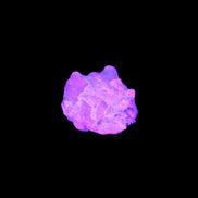 Tiny Kunzite crystals in matrix from Afghanistan 20mm 18.2ct 3.6g in UV light