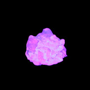 Tiny Kunzite crystals in matrix from Afghanistan 20mm 18.2ct 3.6g in UV light