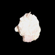 Tiny Kunzite crystals in matrix from Afghanistan 20mm 18.2ct 3.6g Rocks and Things