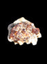 Tiny Spessartine Garnet cluster 16mm 14.6ct 2.9g Rocks and Things