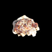 Tiny Spessartine Garnet cluster 16mm 14.6ct 2.9g Rocks and Things