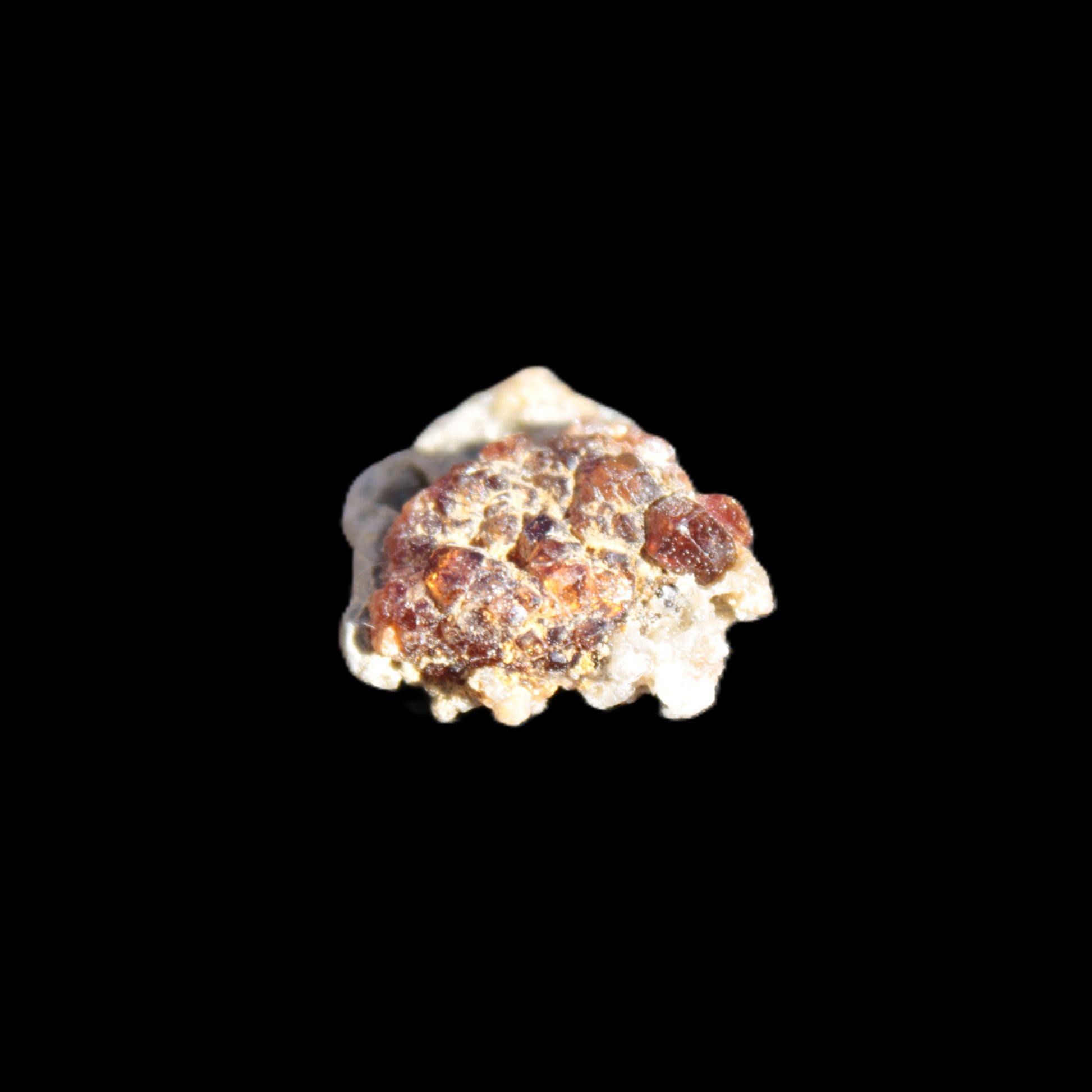 Tiny Spessartine Garnet cluster 16mm 14.6ct 2.9g Rocks and Things