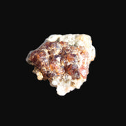 Tiny Spessartine Garnet cluster 16mm 14.6ct 2.9g Rocks and Things
