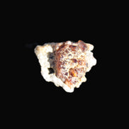 Tiny Spessartine Garnet cluster 16mm 14.6ct 2.9g Rocks and Things