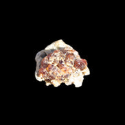 Tiny Spessartine Garnet cluster 16mm 14.6ct 2.9g Rocks and Things