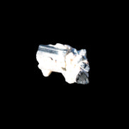 Small Black Tourmaline crystals with matrix 12.8ct 2.5g Rocks and Things