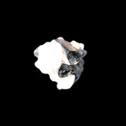 Small Black Tourmaline crystals with matrix 12.8ct 2.5g Rocks and Things
