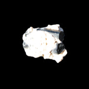 Small Black Tourmaline crystals with matrix 12.8ct 2.5g Rocks and Things