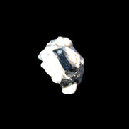 Small Black Tourmaline crystals with matrix 12.8ct 2.5g Rocks and Things