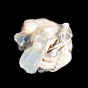 Terminated Aquamarine & Heliodor crystal 21mm with Lepidolite & Feldspar 52.1ct  10.4g Rocks and Things