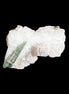 Green Tourmaline crystal on winged Muscovite with Lepidolite cluster 32mm 28.2ct 5.6g Rocks and Things