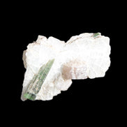 Green Tourmaline crystal on winged Muscovite with Lepidolite cluster 32mm 28.2ct 5.6g Rocks and Things