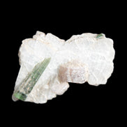 Green Tourmaline crystal on winged Muscovite with Lepidolite cluster 32mm 28.2ct 5.6g Rocks and Things