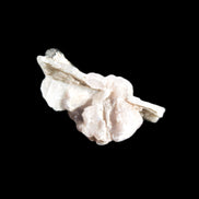 Green Tourmaline crystal on winged Muscovite with Lepidolite cluster 32mm 28.2ct 5.6g Rocks and Things