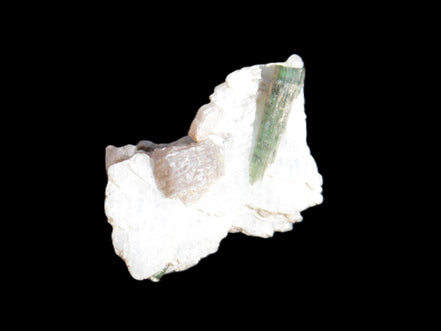 Green Tourmaline crystal on winged Muscovite with Lepidolite cluster 32mm 28.2ct 5.6g Rocks and Things