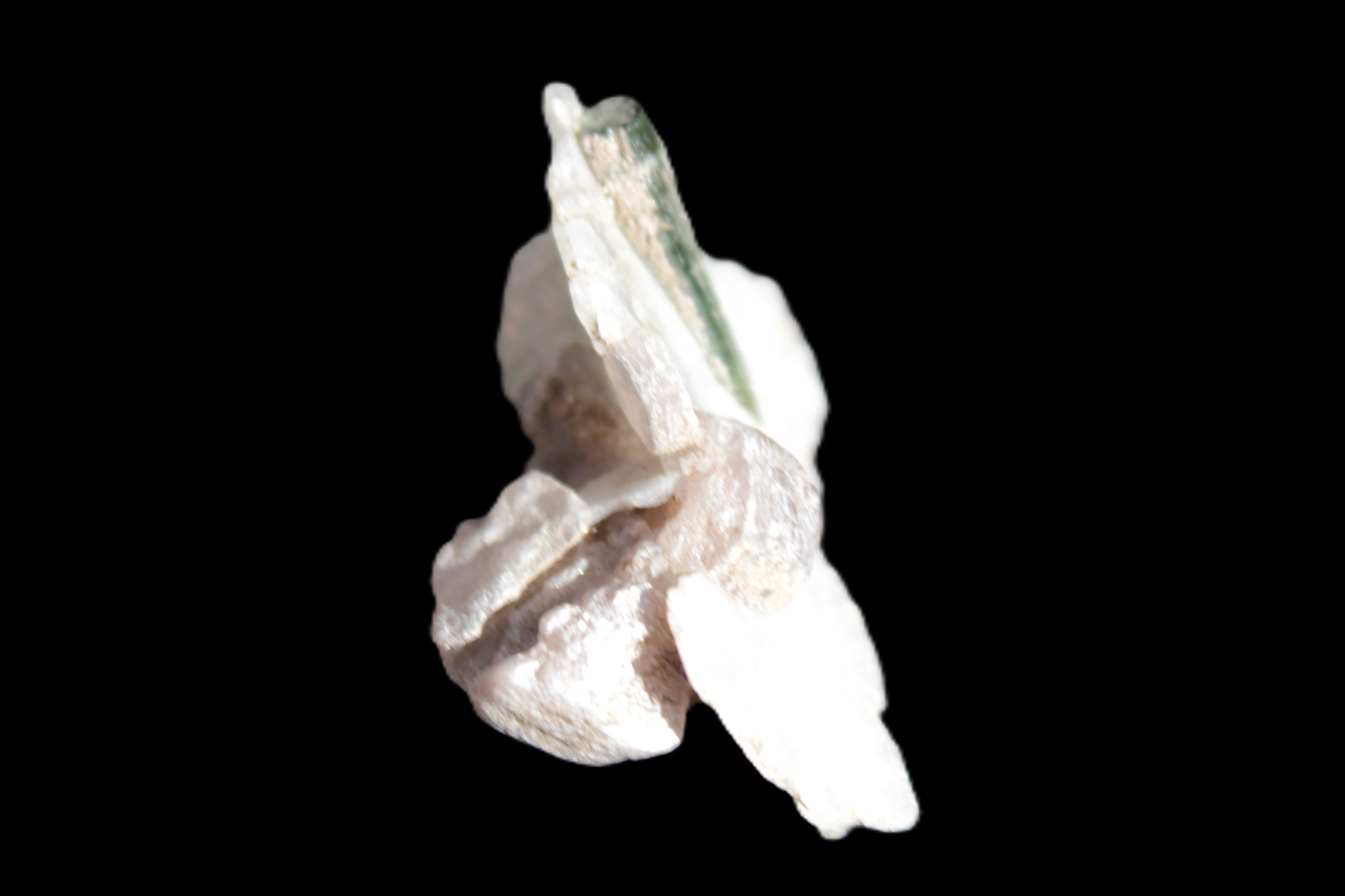 Green Tourmaline crystal on winged Muscovite with Lepidolite cluster 32mm 28.2ct 5.6g Rocks and Things