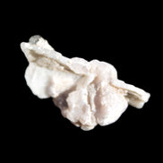 Green Tourmaline crystal on winged Muscovite with Lepidolite cluster 32mm 28.2ct 5.6g Rocks and Things