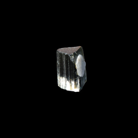 Dark Black Green Tourmaline 12mm 8ct 1.6g in sunlight - Rocks and Things Store