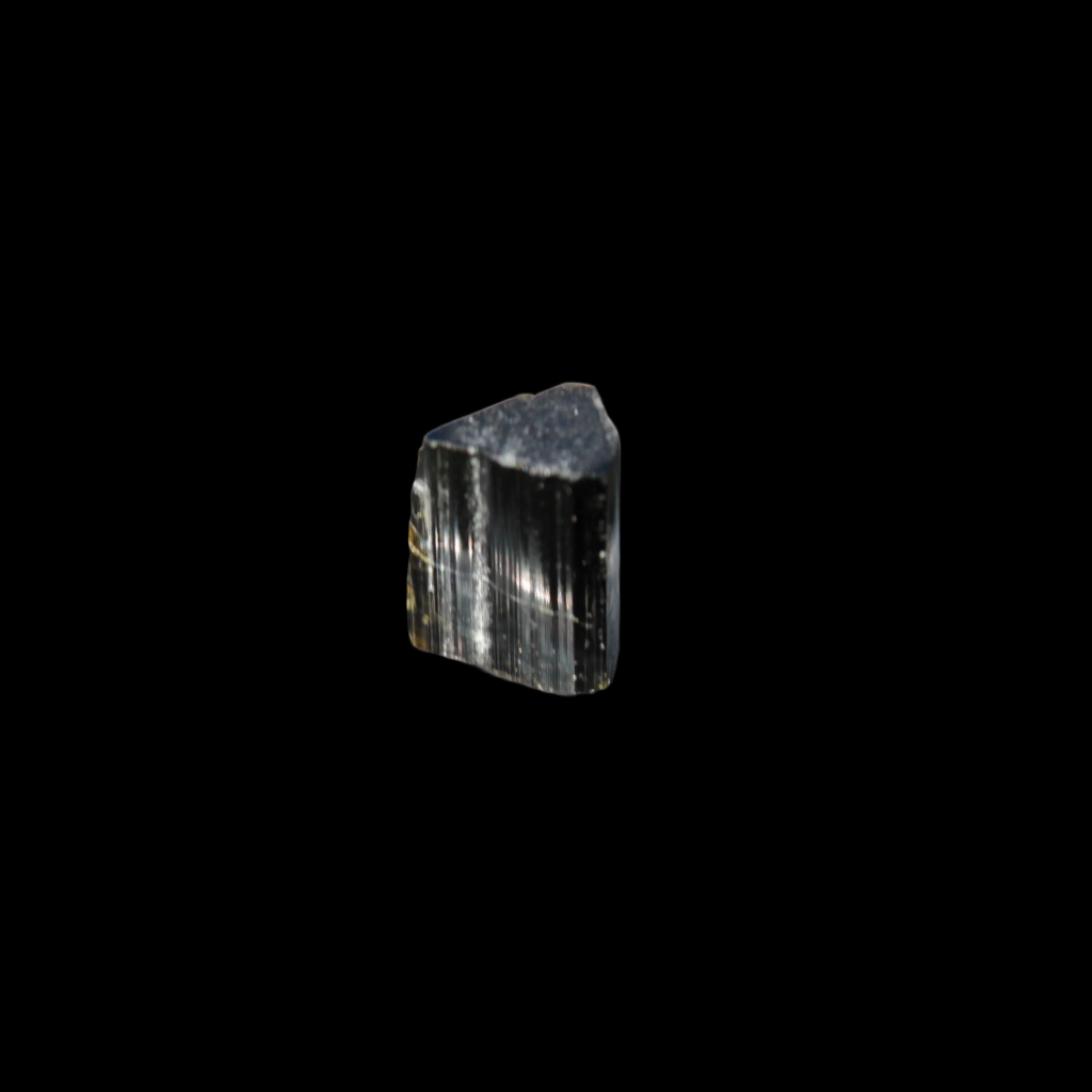 Dark Black Green Tourmaline 12mm 8ct 1.6g in sunlight - Rocks and Things Store