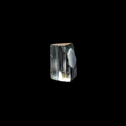 Dark Black Green Tourmaline 12mm 8ct 1.6g in sunlight - Rocks and Things Store