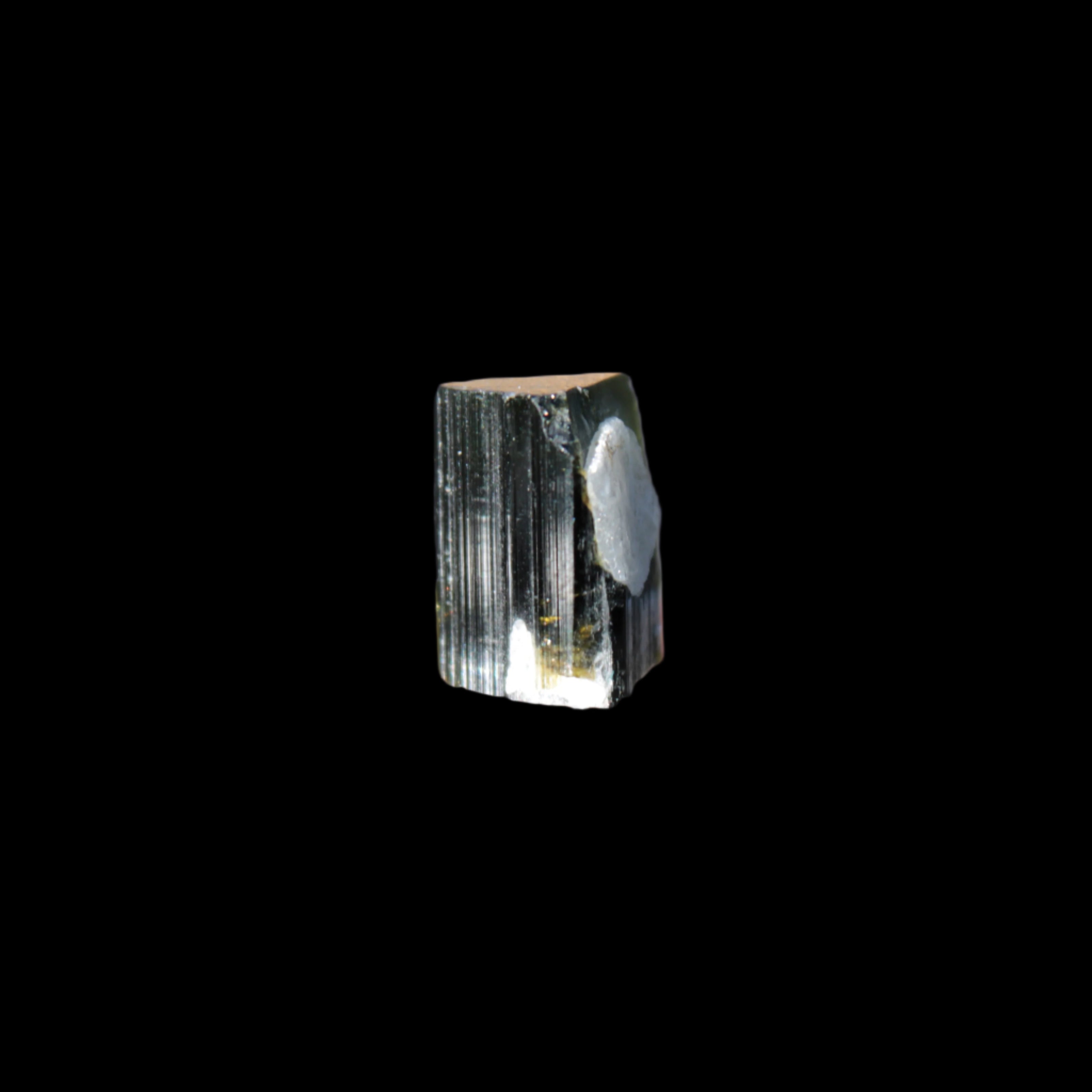 Dark Black Green Tourmaline 12mm 8ct 1.6g in sunlight - Rocks and Things Store