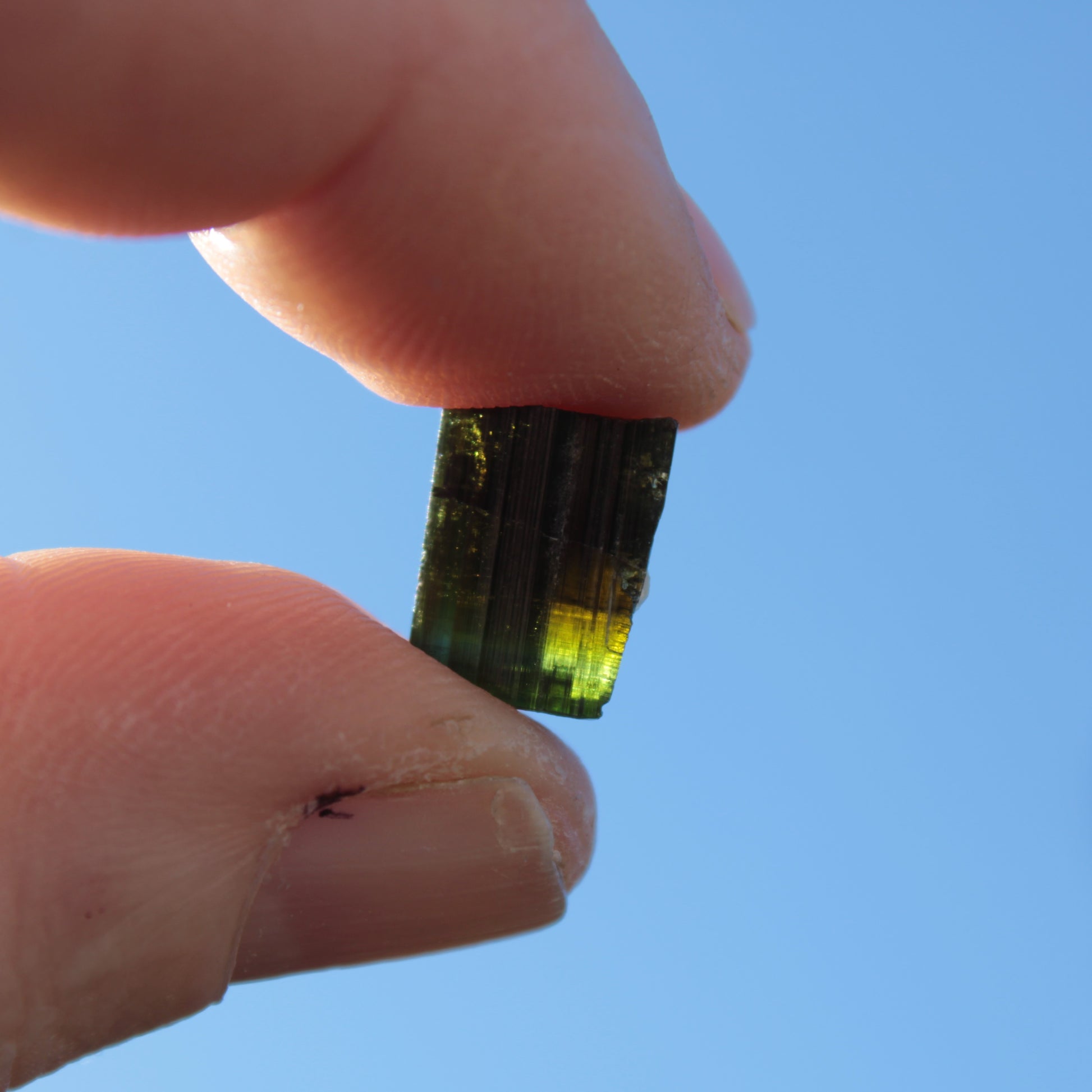 Dark Black Green Tourmaline 12mm 8ct 1.6g Rocks and Things