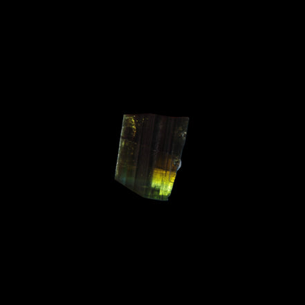 Dark Black Green Tourmaline 12mm 8ct 1.6g in sunlight - Rocks and Things Store