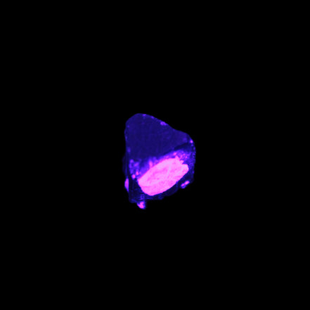 Dark Black Green Tourmaline 12mm 8ct 1.6g in UV light - Rocks and Things Store