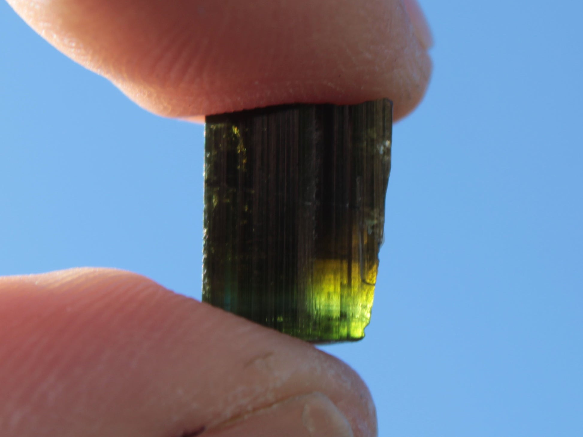 Dark Black Green Tourmaline 12mm 8ct 1.6g Rocks and Things