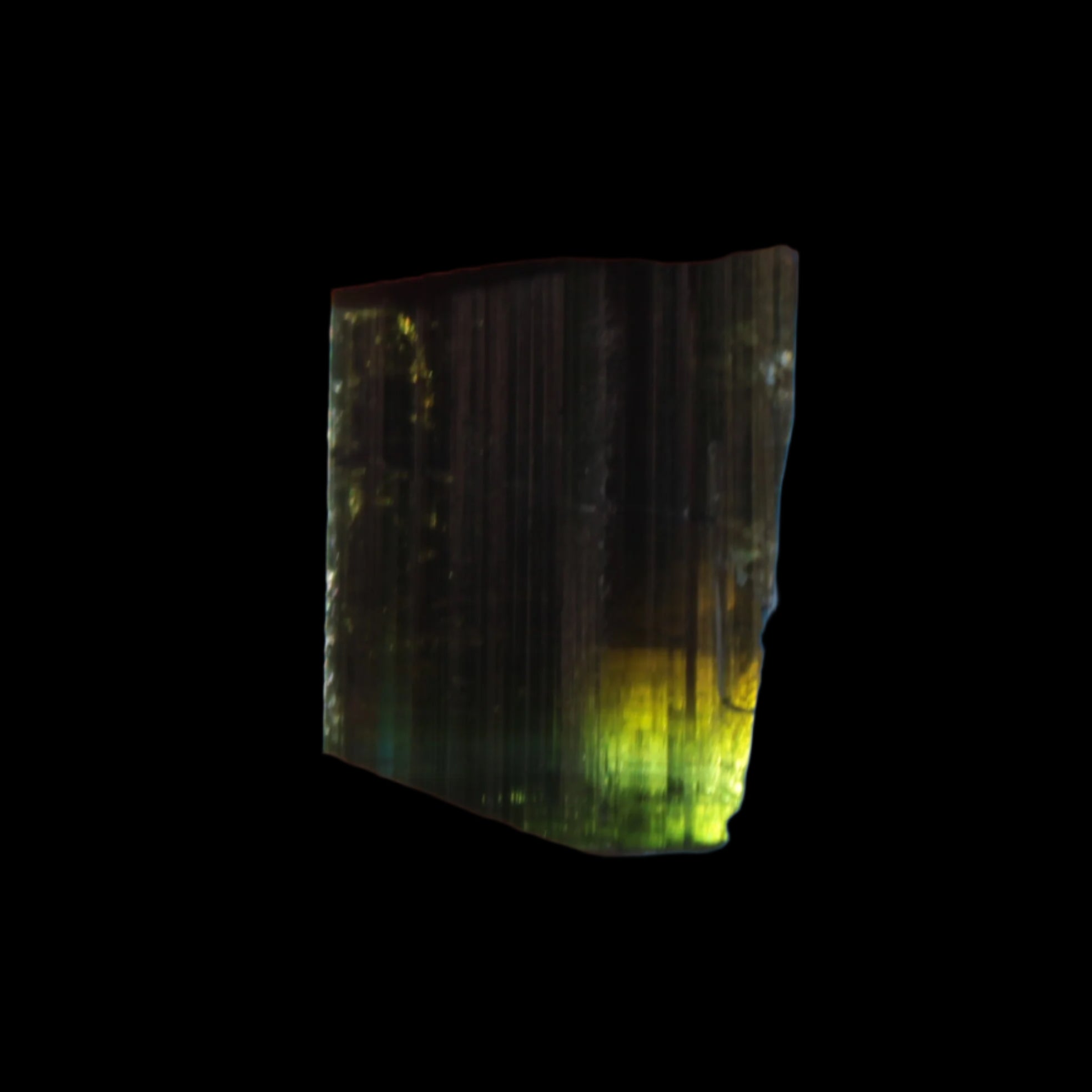 Dark Black Green Tourmaline 12mm 8ct 1.6g in sunlight - Rocks and Things Store