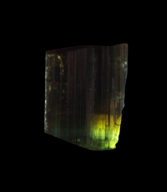 Dark Black Green Tourmaline 12mm 8ct 1.6g in sunlight - Rocks and Things Store
