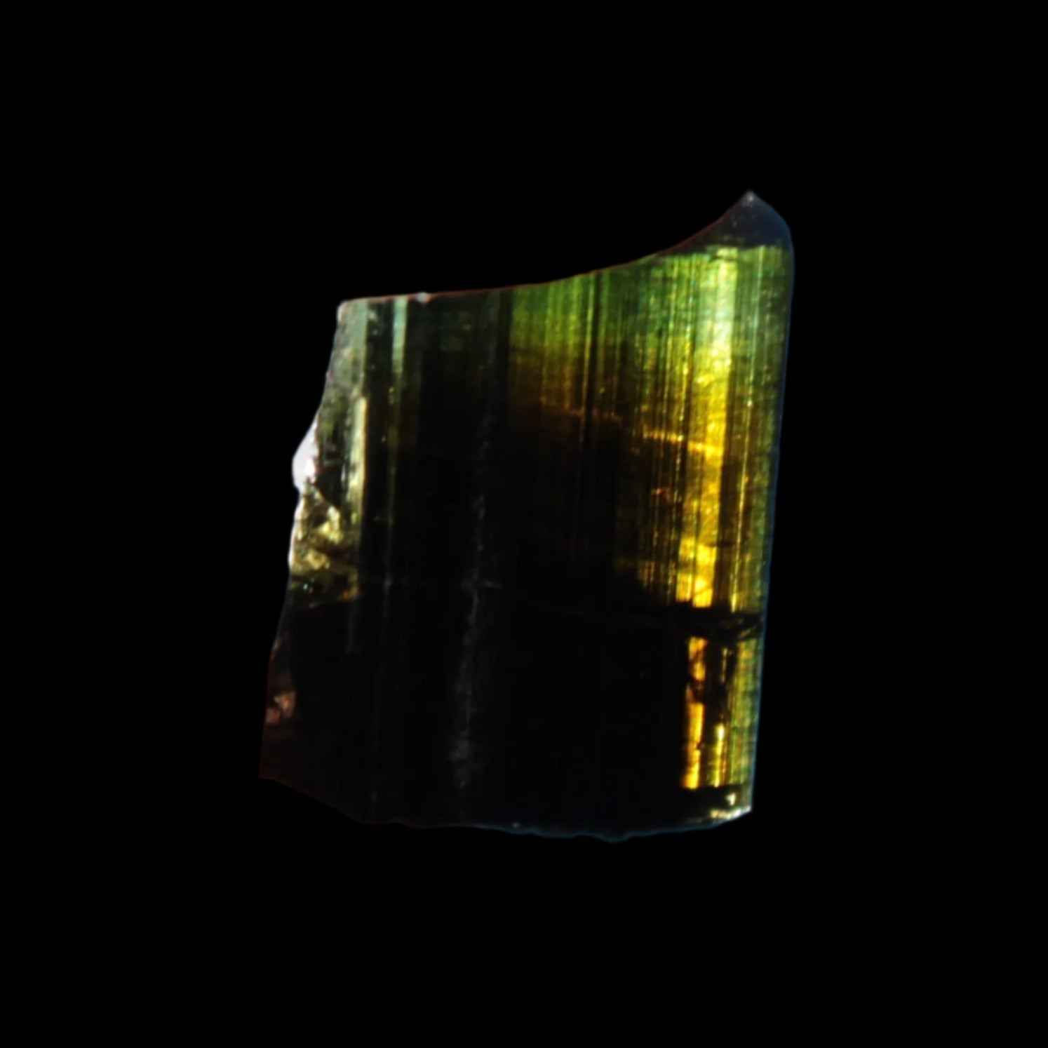 Dark Black Green Tourmaline 12mm 8ct 1.6g in sunlight - Rocks and Things Store