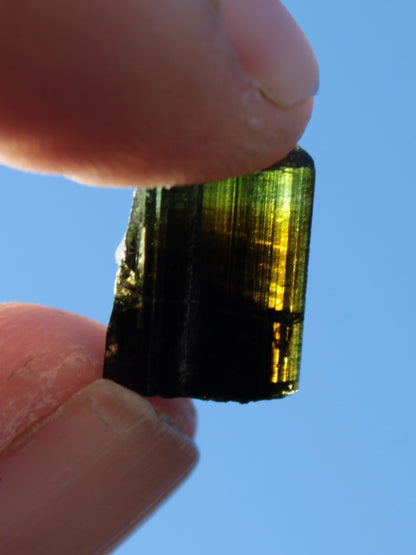 Dark Black Green Tourmaline 12mm 8ct 1.6g Rocks and Things