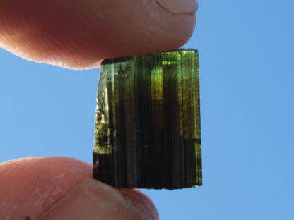 Dark Black Green Tourmaline 12mm 8ct 1.6g Rocks and Things