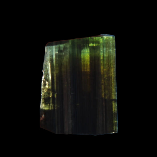 Dark Black Green Tourmaline 12mm 8ct 1.6g in sunlight - Rocks and Things Store